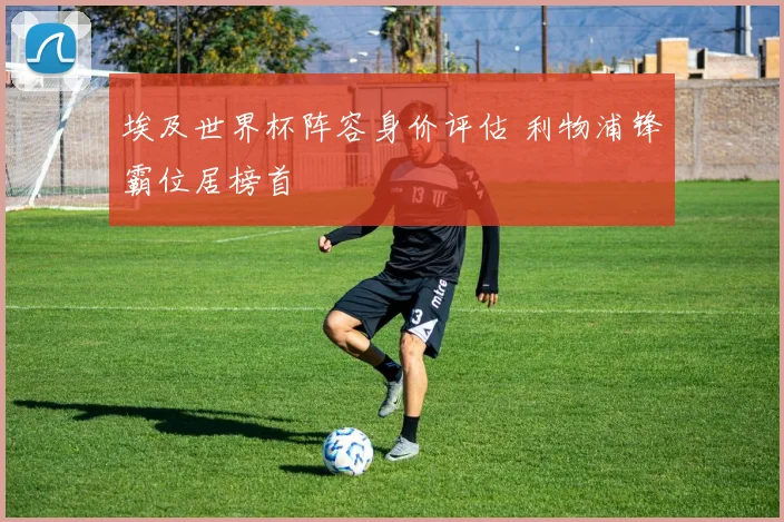 埃及世界杯阵容身价评估 利物浦锋霸位居榜首