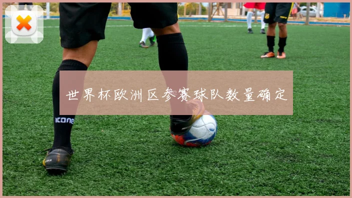 世界杯欧洲区参赛球队数量确定