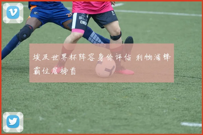 埃及世界杯阵容身价评估 利物浦锋霸位居榜首