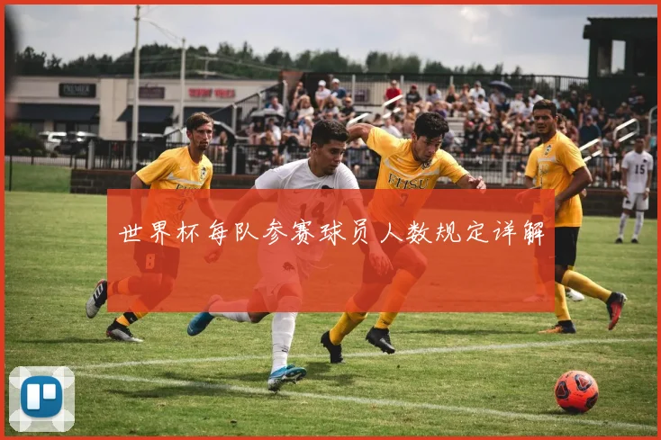 世界杯每队参赛球员人数规定详解