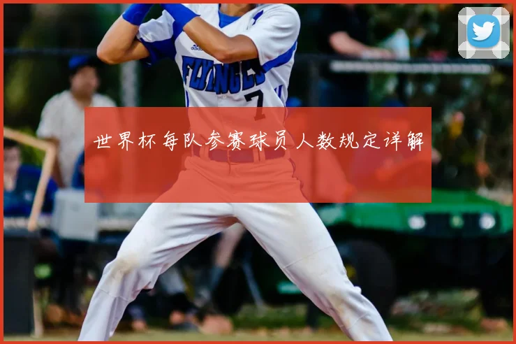 世界杯每队参赛球员人数规定详解