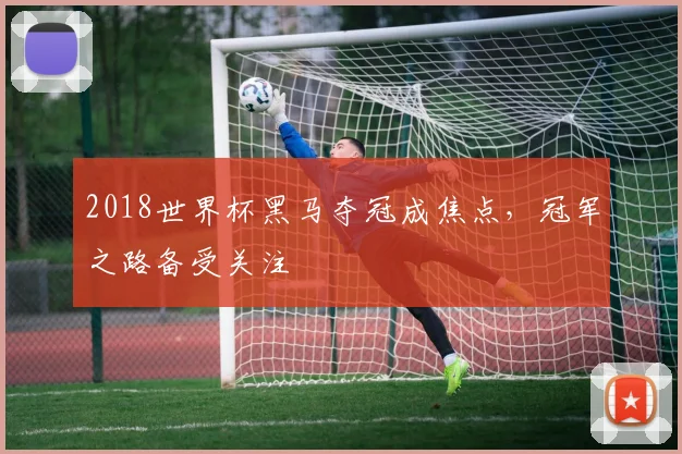 2018世界杯黑马夺冠成焦点,冠军之路备受关注